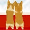 corgisnudge